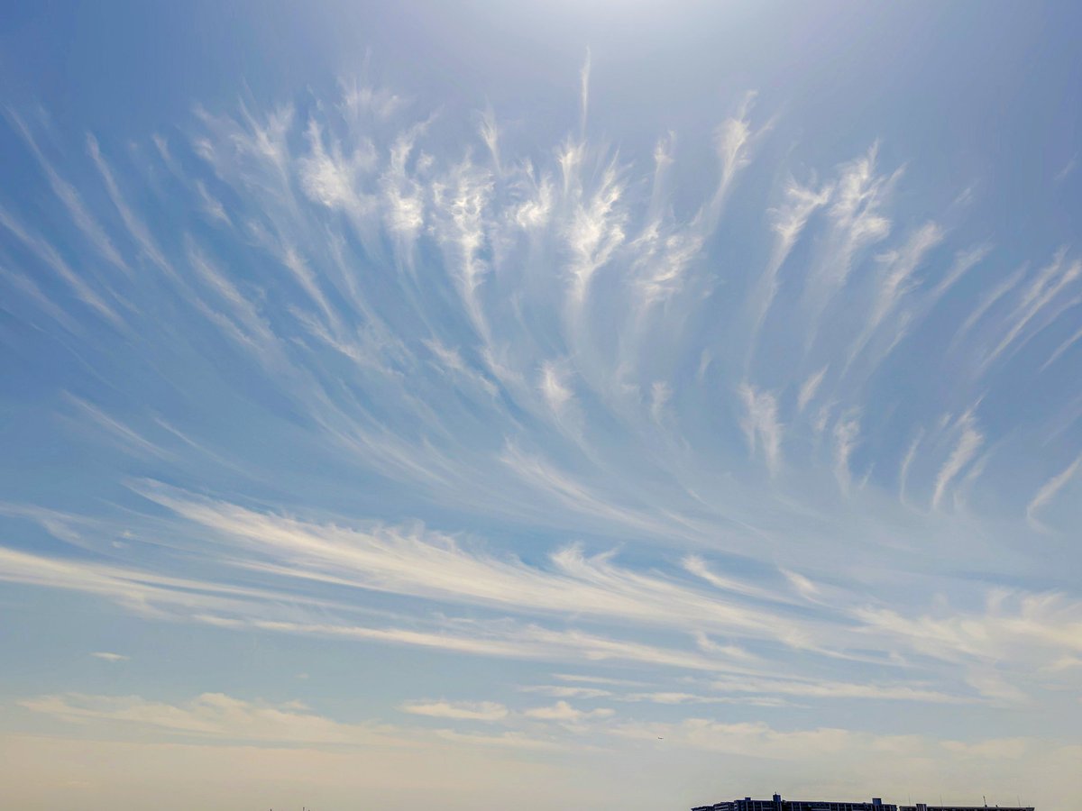 まこと。💒🐰⚾︎✨ tweet media