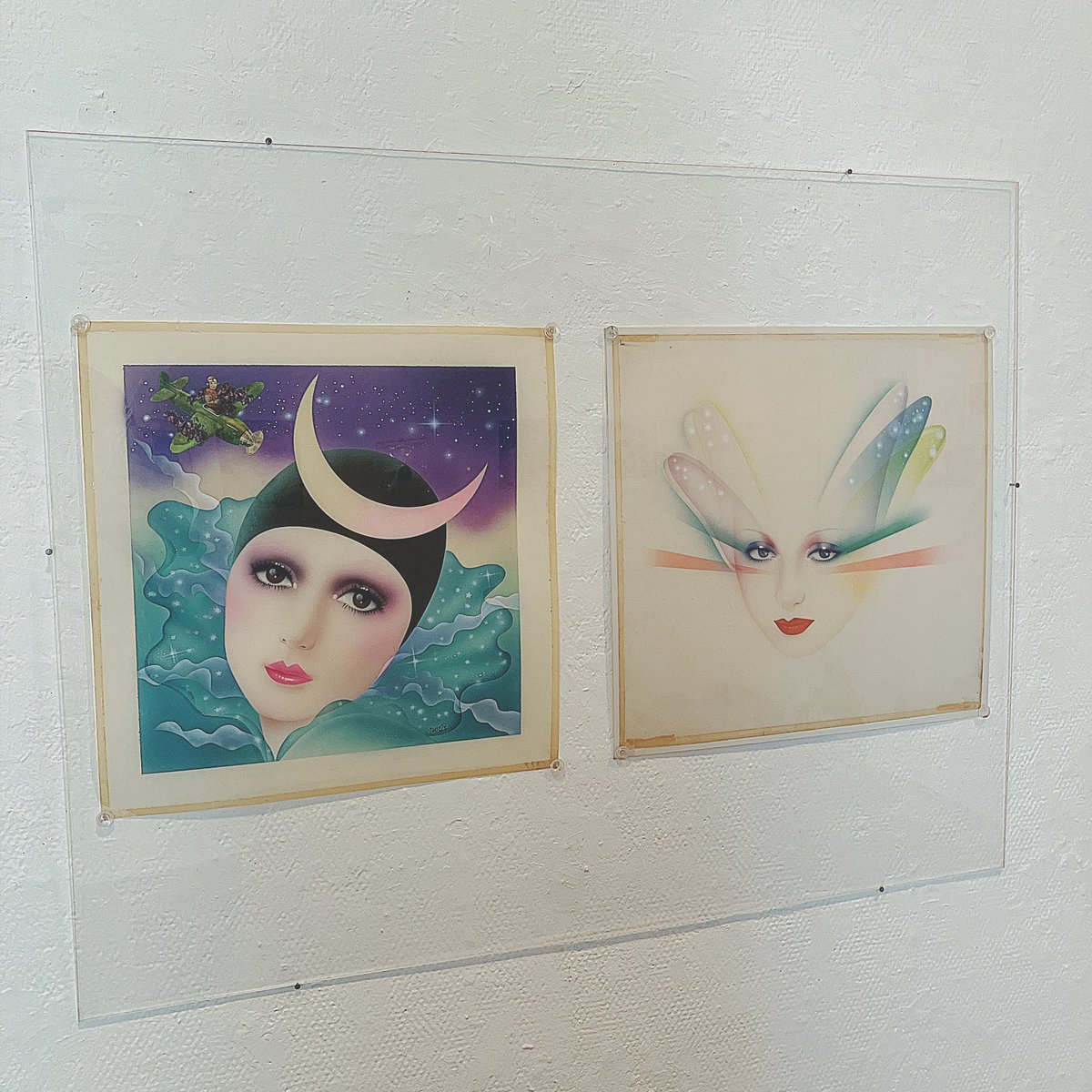 ペーターズショップ＆ギャラリー tweet media