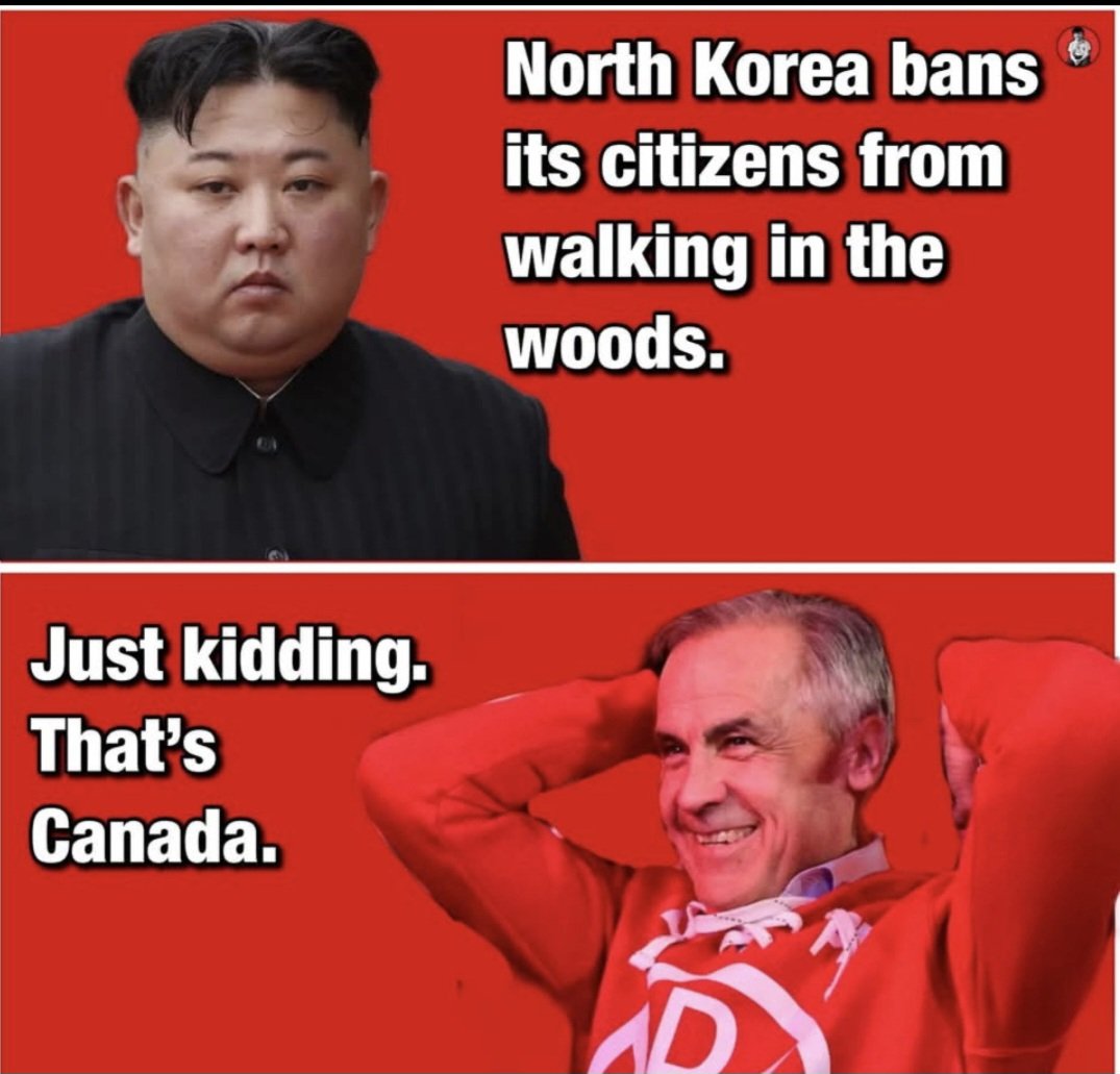 Trolling.Canuck tweet media