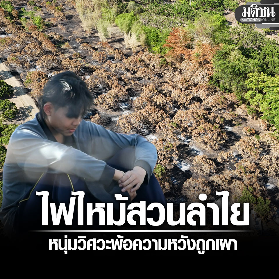 Matichon Online tweet media