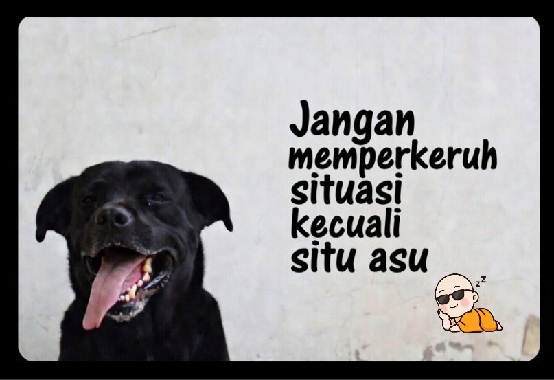 Buddhis Garis Lucu (centang biru) tweet media