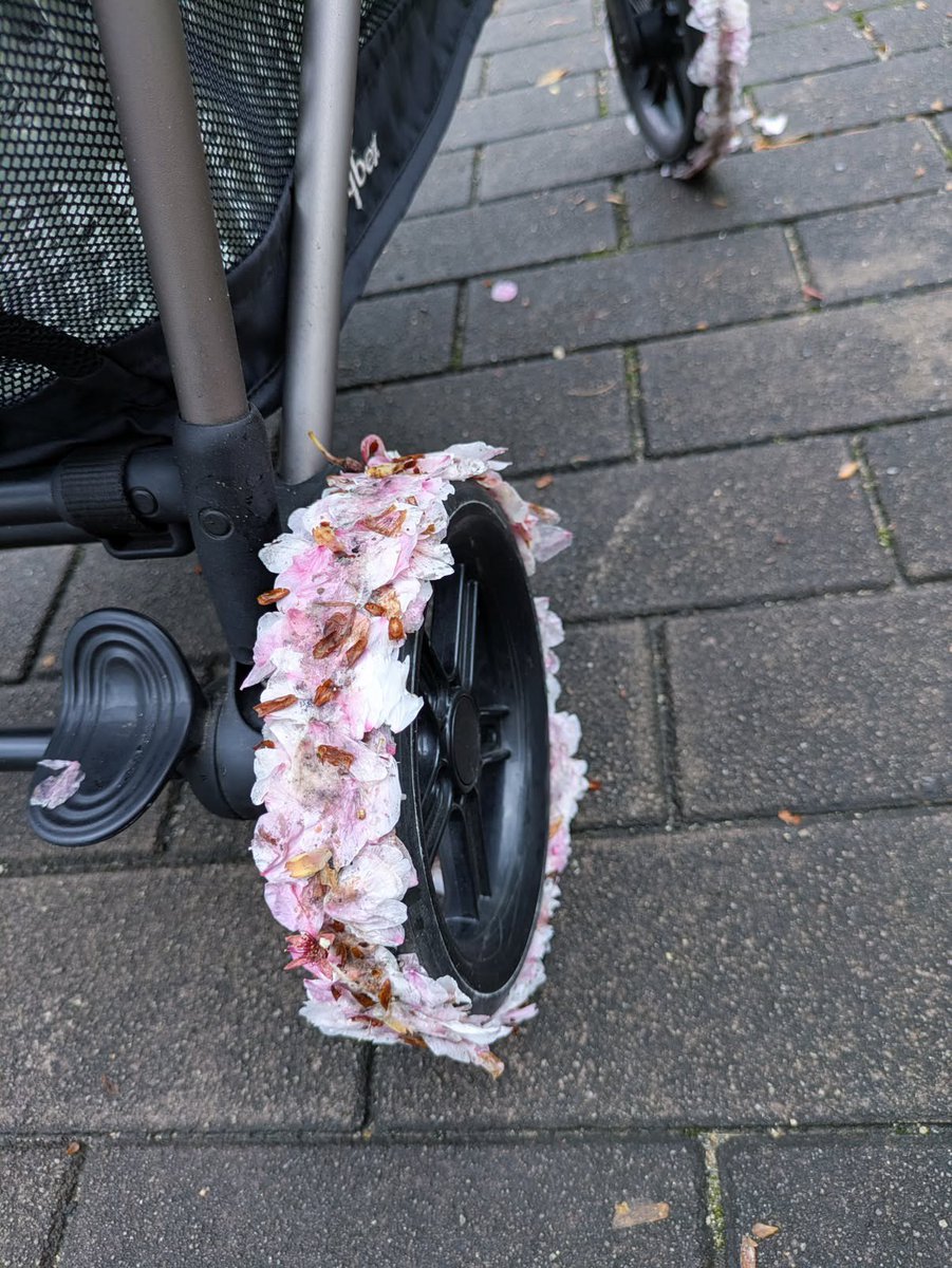 ネットで話題の動画 tweet media