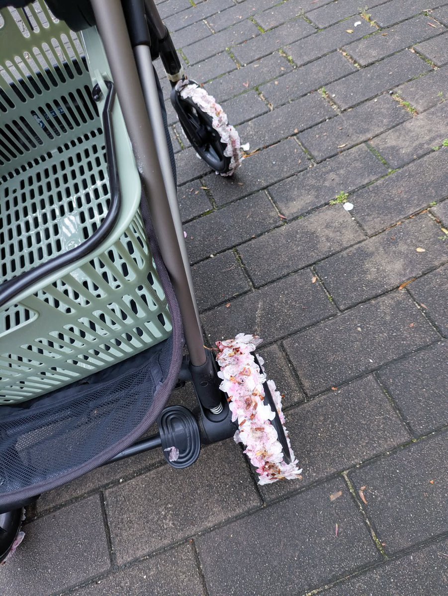 ネットで話題の動画 tweet media