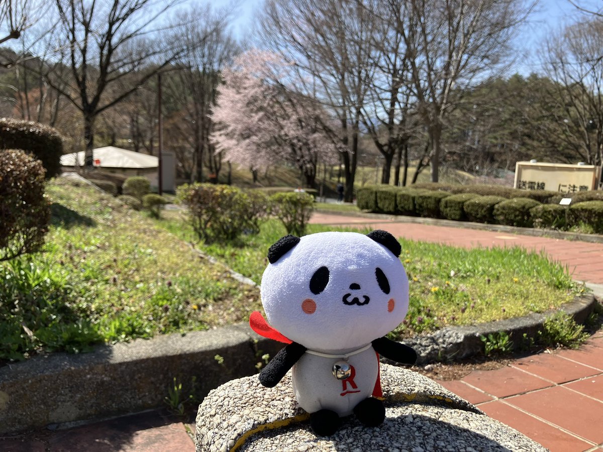 キャプテン tweet media