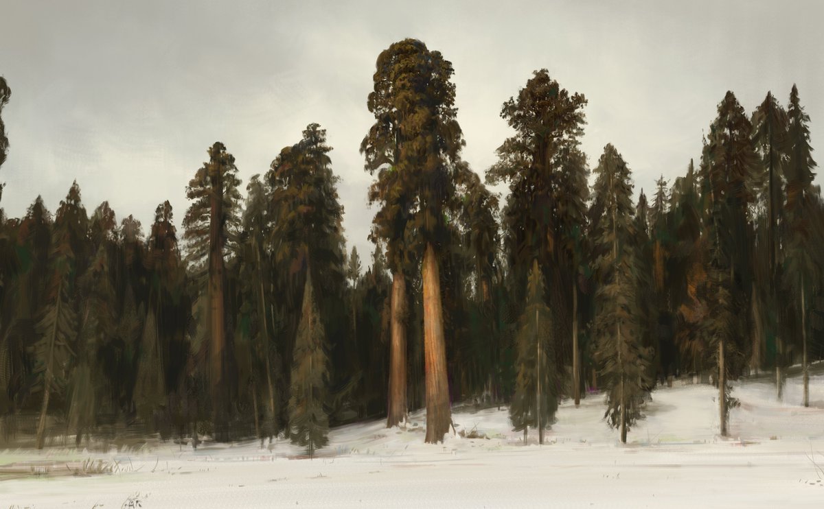 Jonny Sun tweet media