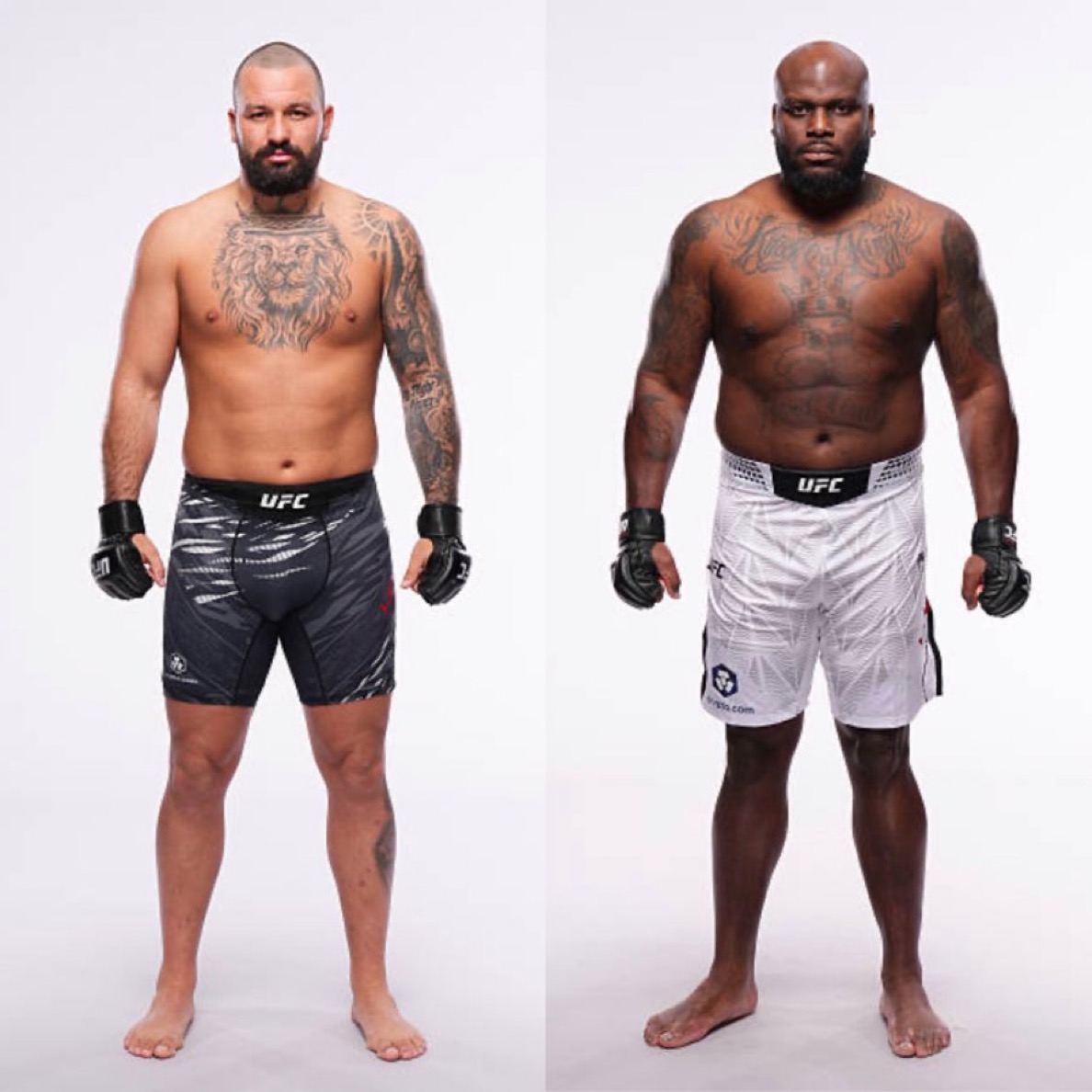 فنون القتال بالعربية tweet media