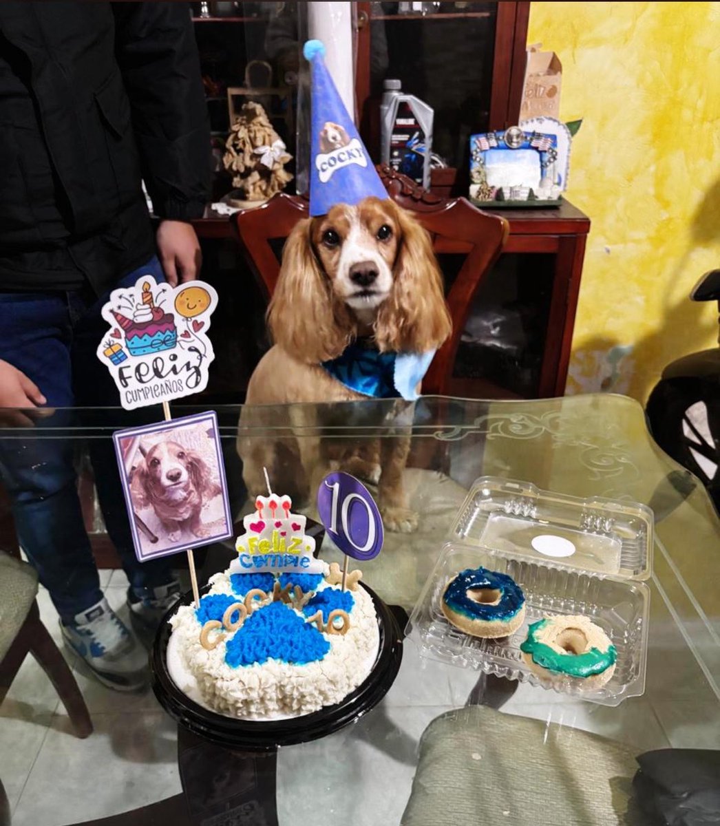 Y los cumplió muy feliz💙

Gracias <a href="/TortiPets/">Torti Pets</a>