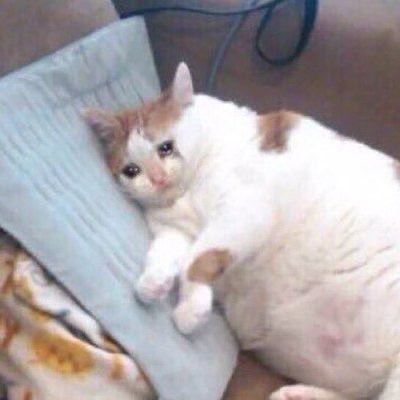 I’m so proud of Taemin