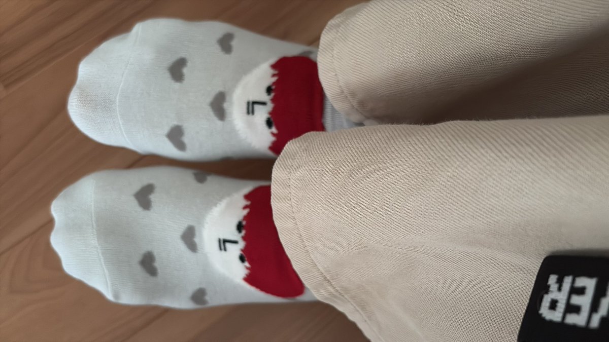 Hao🦫🐡 tweet media