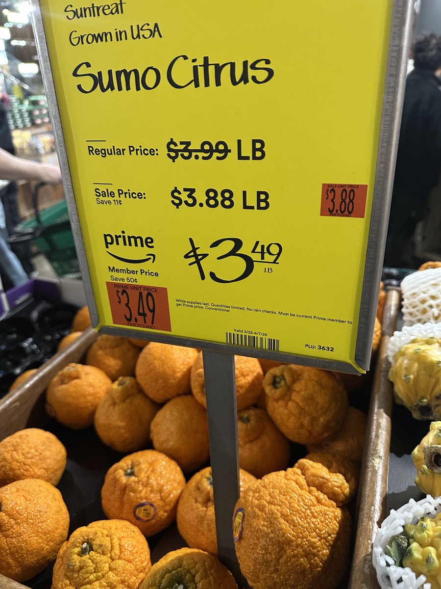 菅野よう子/Yoko Kanno Official tweet media