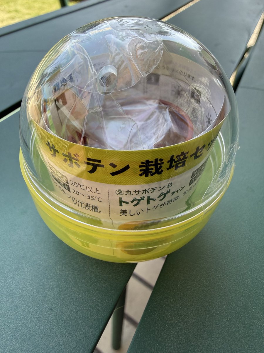 ガチャサボ
何が育つかは
育ってみてからのお楽しみ…？
育たなかったら永遠の謎。。