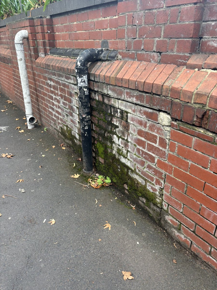 MostLivableCity tweet media