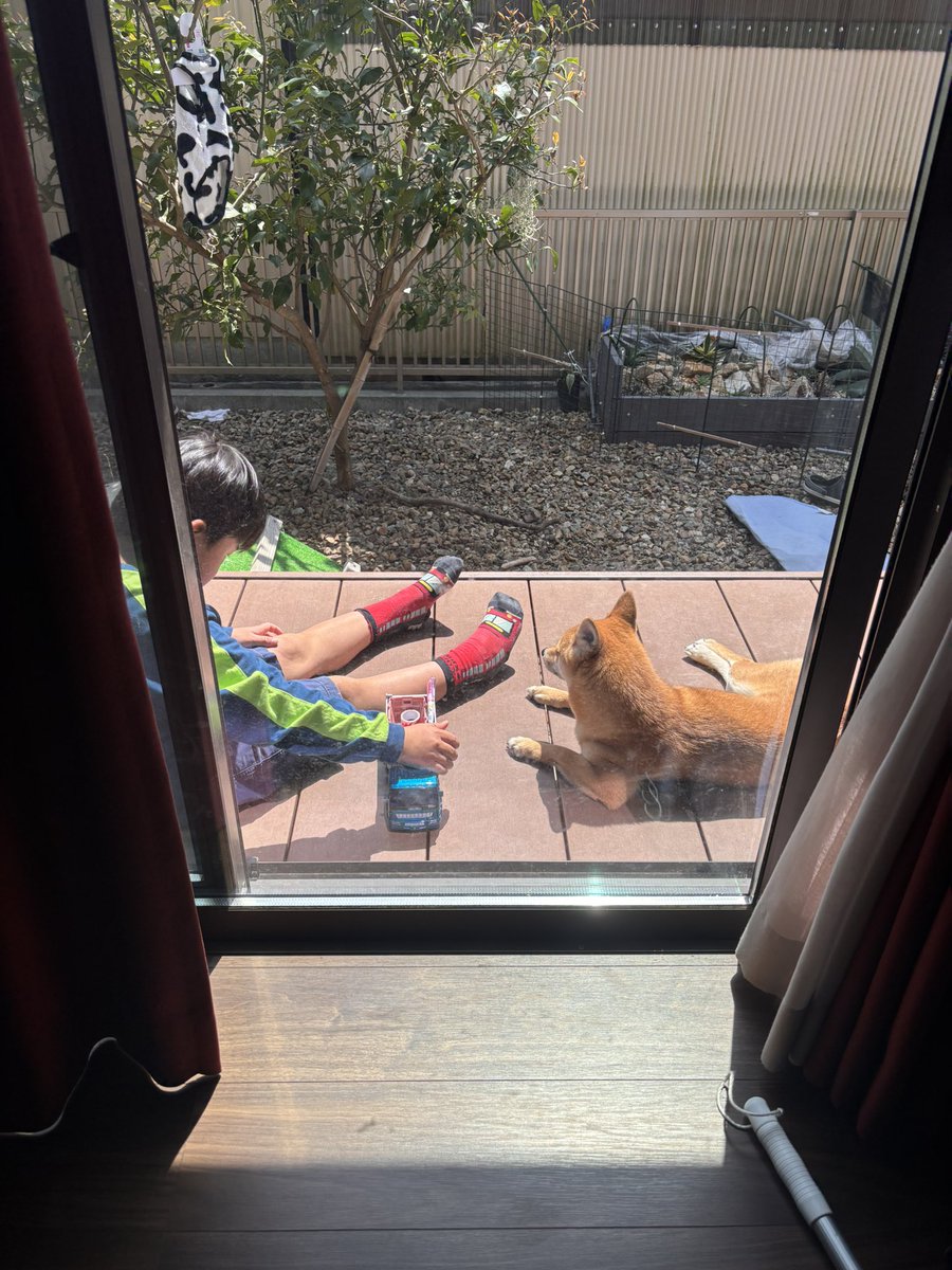 マッチ@デリカ d5 tweet media