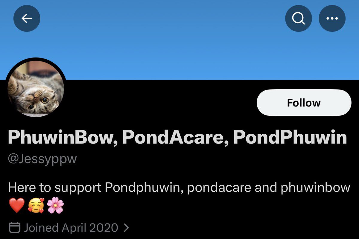 protect ppw 🐻🐼 (@ppwprotect) / Posts / X