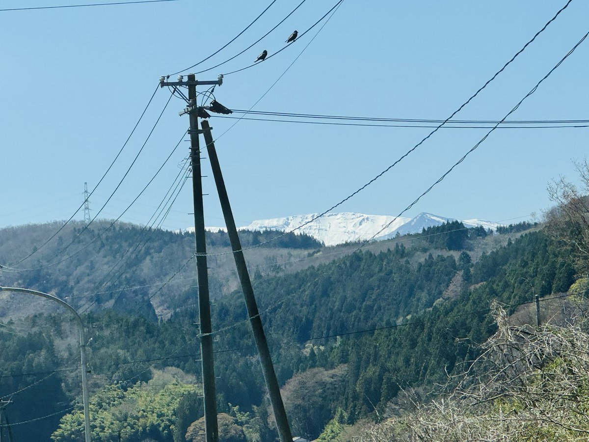 加田瀬 裕次/Katase Focus tweet media