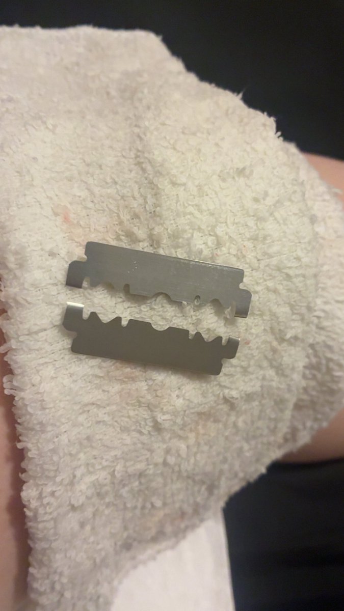 frankie stein tweet media