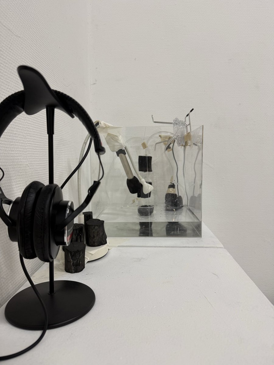 chikaruuum's tweet photo. 装置を含むサウンドインスタレーションの作品を初めて作った。
音源とパフォーマンスを組み合わせたことはあったけど、自律的な装置を含めたサウンドアートは今回が初。バイオ炭に延々と水滴が垂れる音と、フィーレコをコラージュした音を組み合わせている https://t.co/a514D950Ma