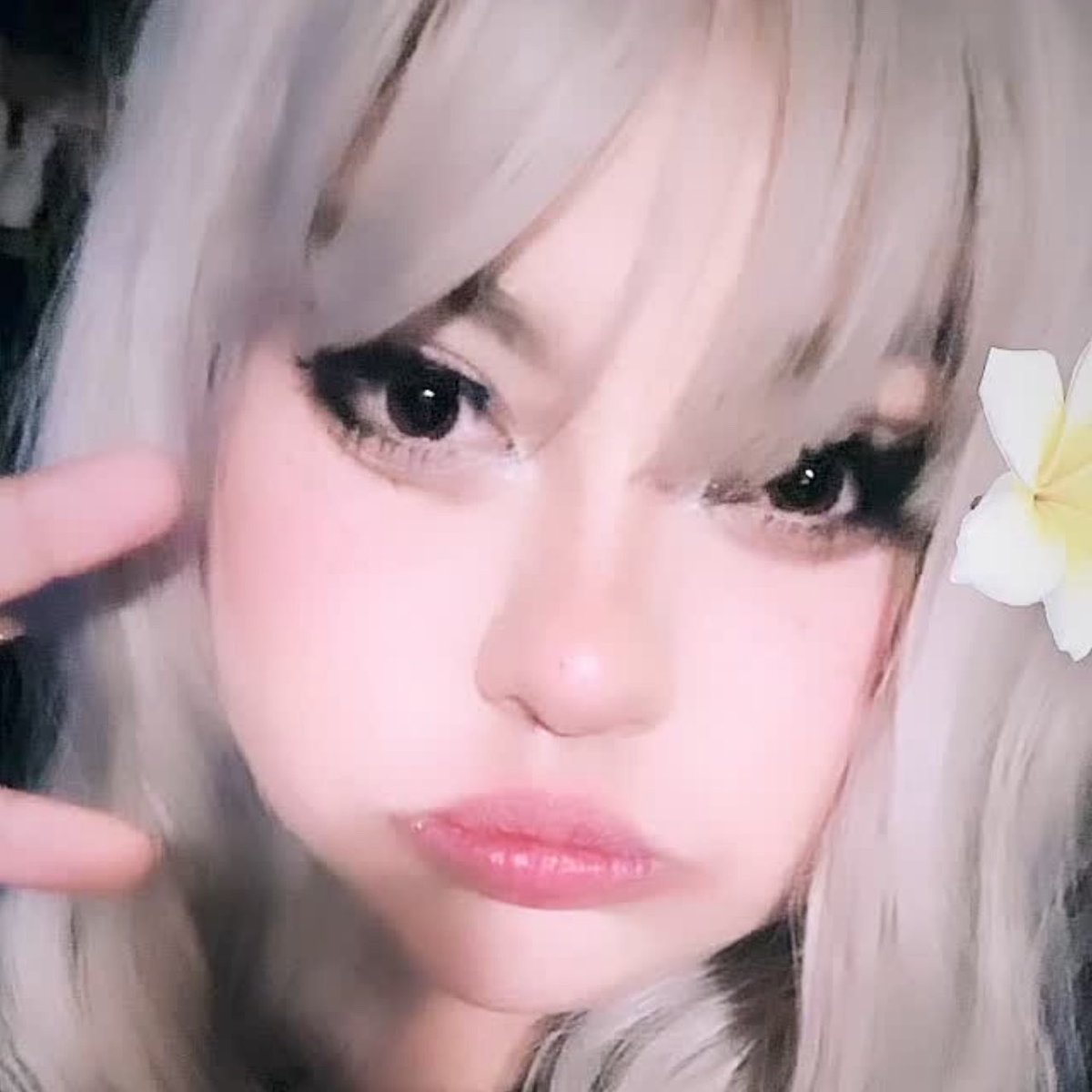 ditzy ♡ tweet media