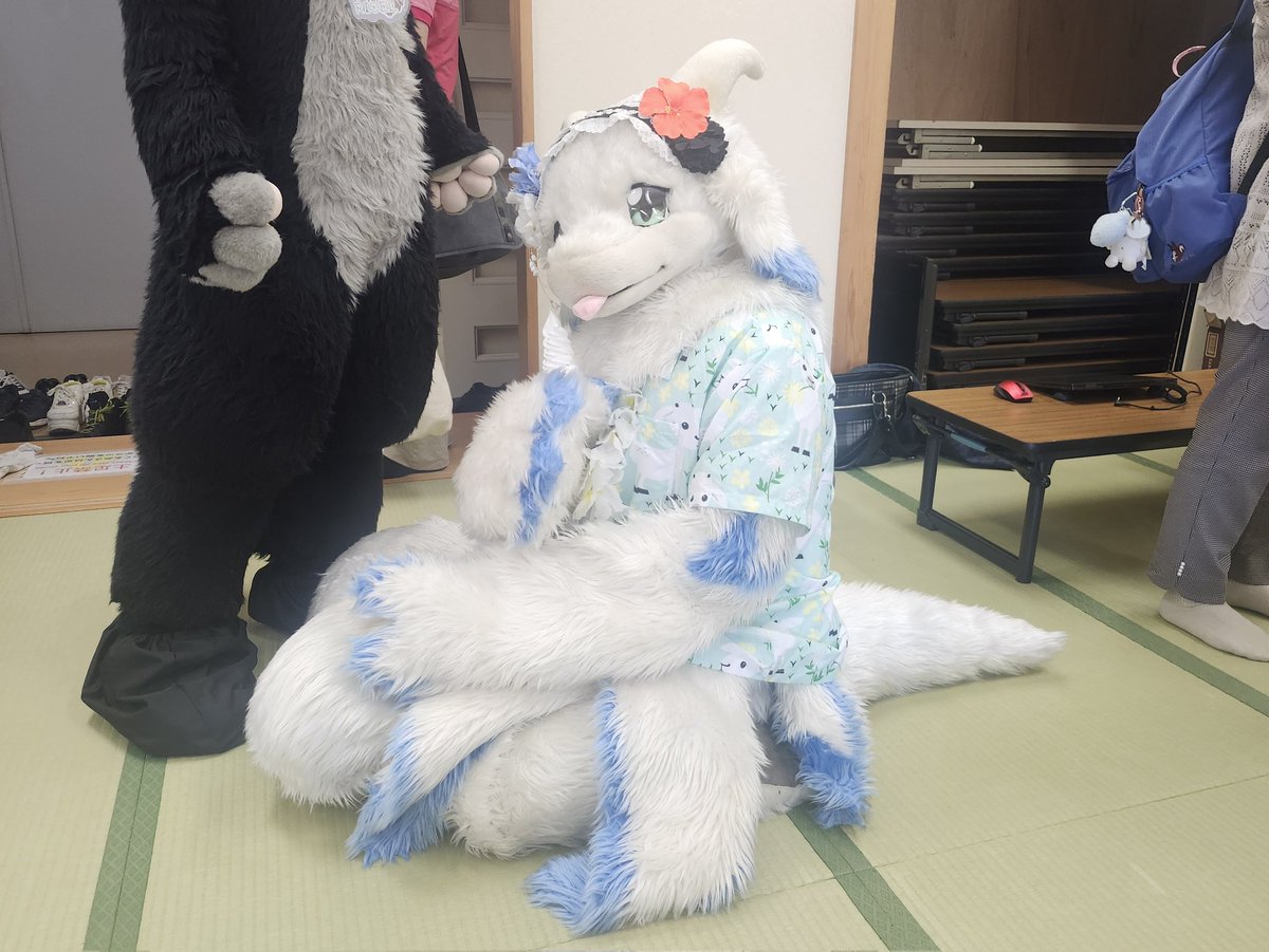 ポイフルジャンキー tweet media