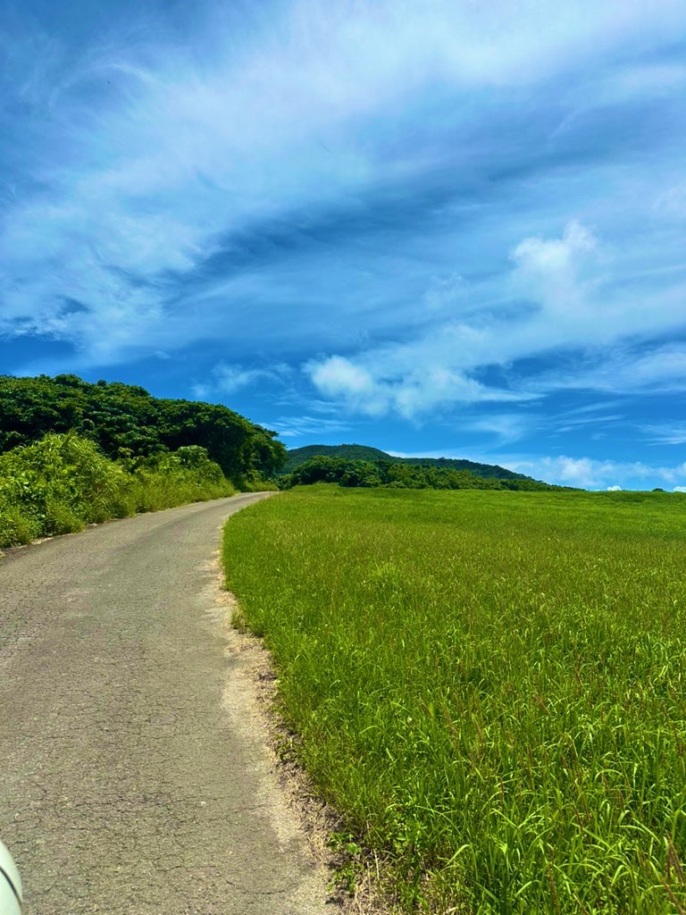 石垣島 カンムリワシの里と森を守る会 tweet media