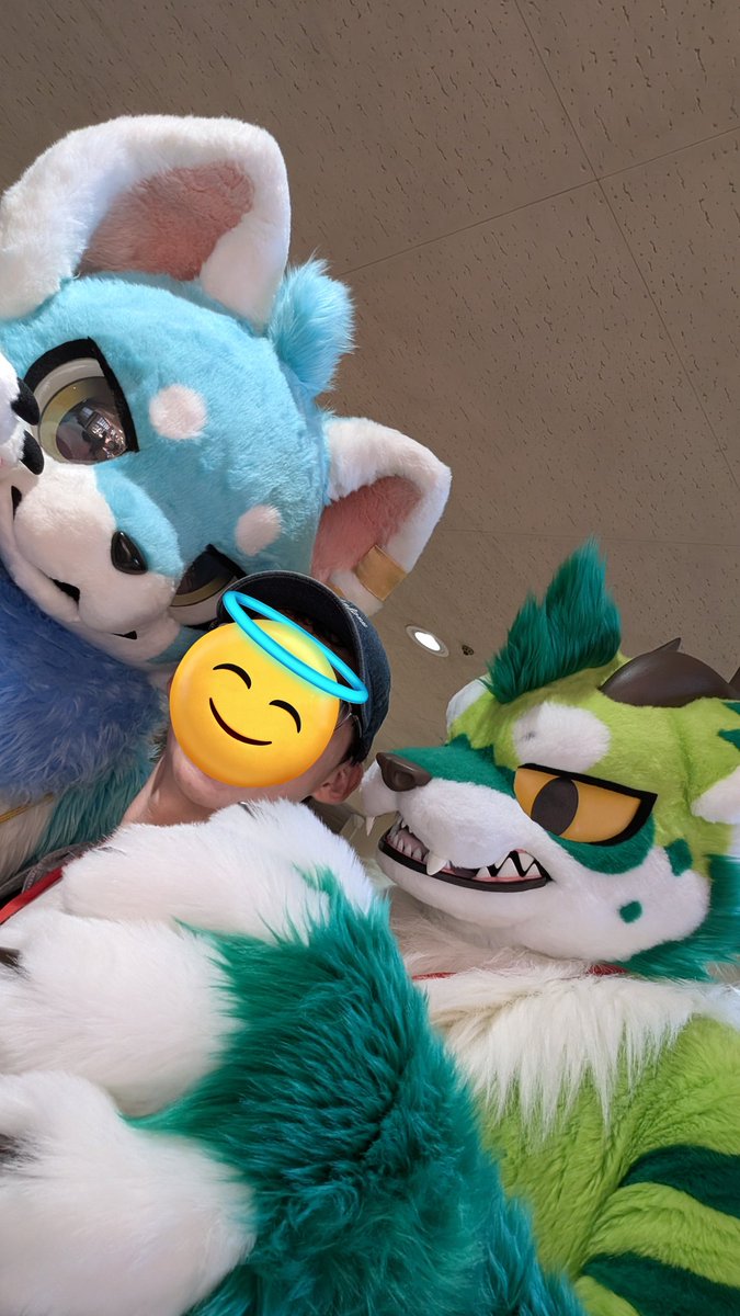 ハスキー tweet media