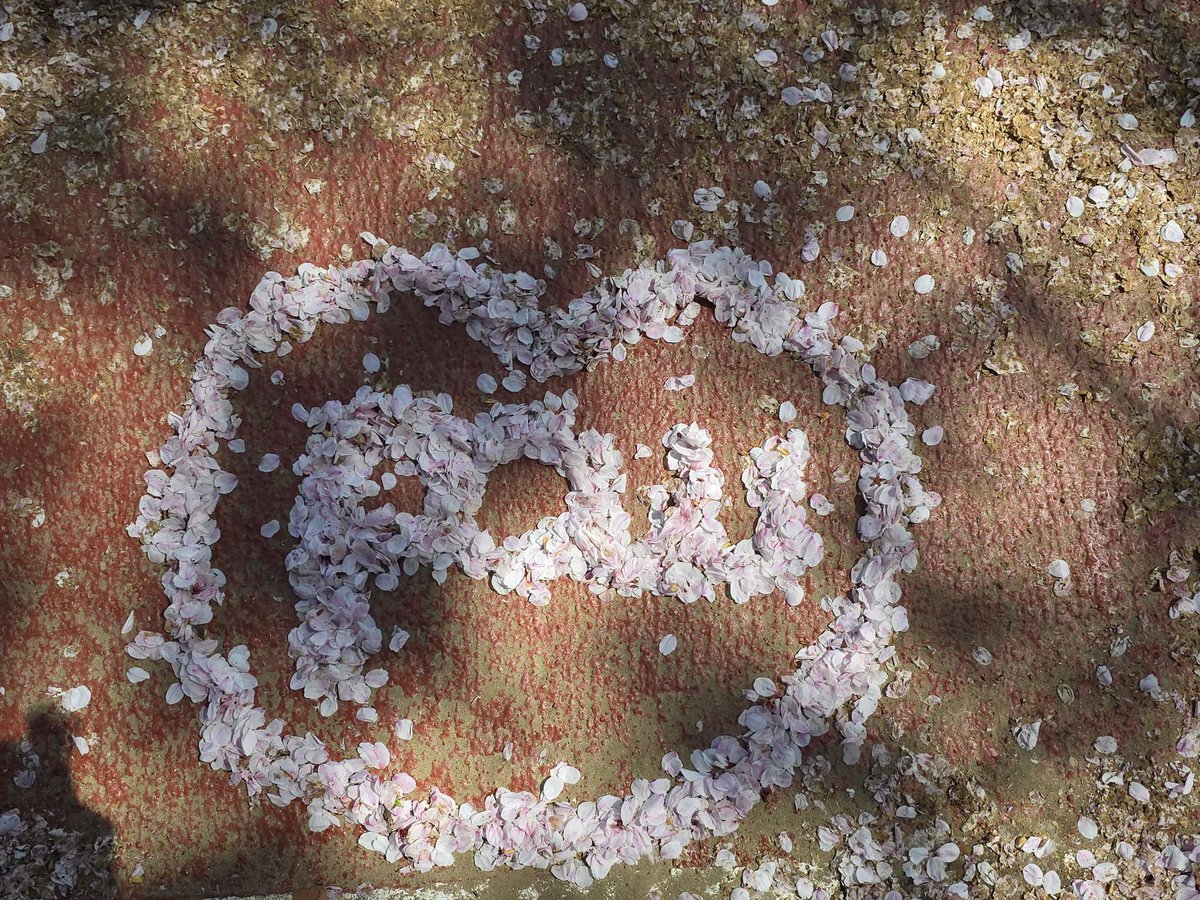 Kungnabee1's tweet image. มาตามรอยน้องพาวพึ่งกว้างมากเหมาะแก่การมานั่งเล่นออกกำลังกายหรือถ่ายรูปสวยๆ #pow #power #파우