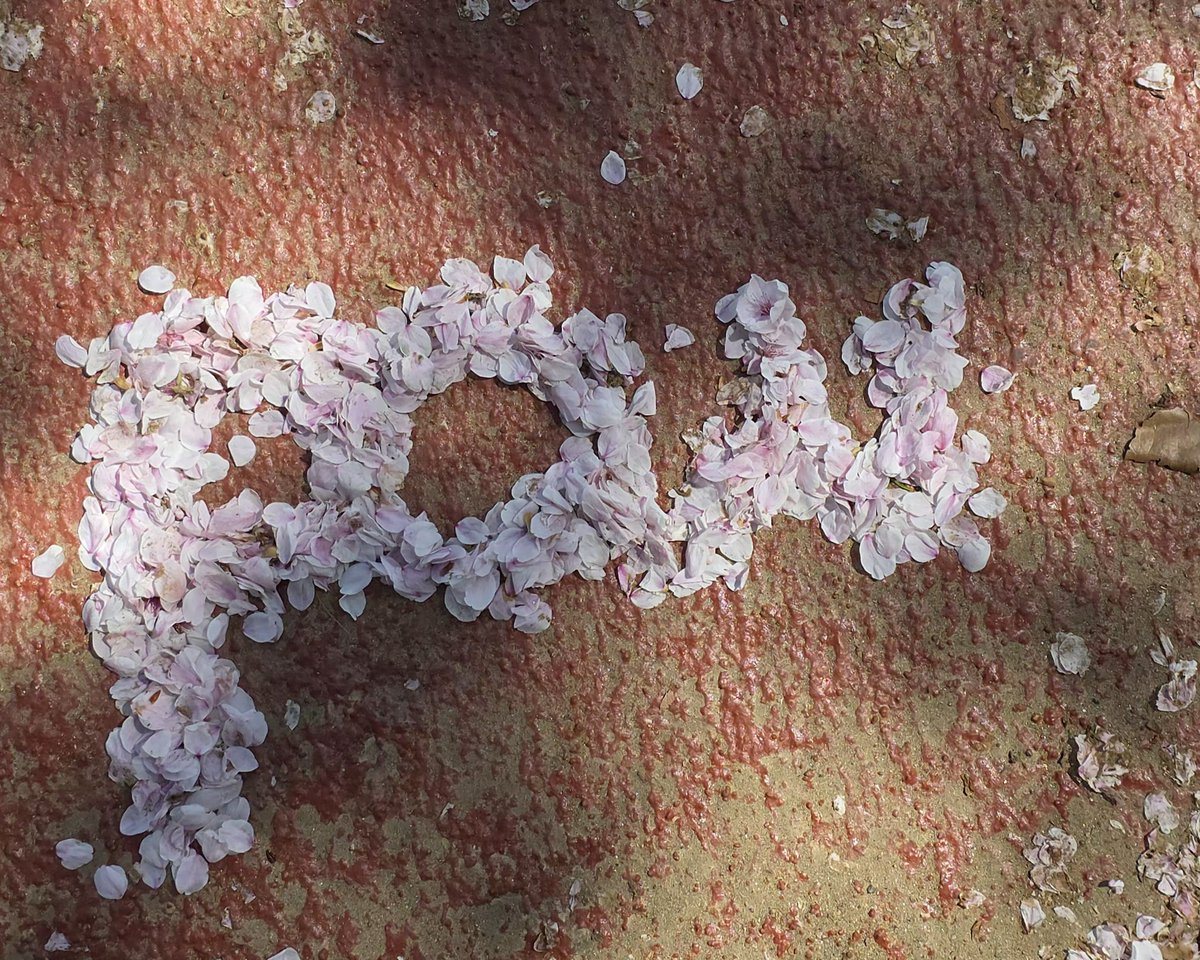 Kungnabee1's tweet image. มาตามรอยน้องพาวพึ่งกว้างมากเหมาะแก่การมานั่งเล่นออกกำลังกายหรือถ่ายรูปสวยๆ #pow #power #파우