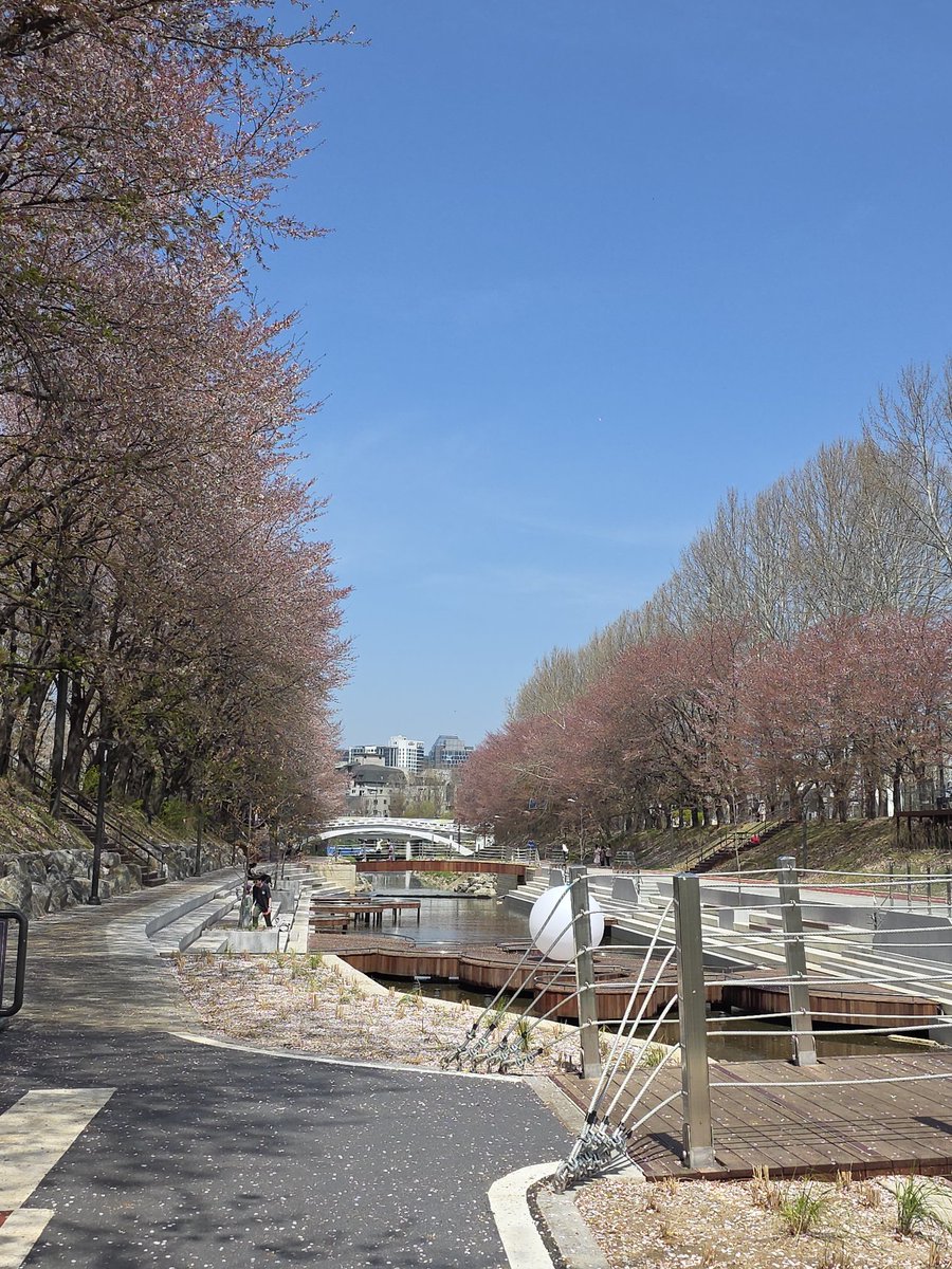 Kungnabee1's tweet image. มาตามรอยน้องพาวพึ่งกว้างมากเหมาะแก่การมานั่งเล่นออกกำลังกายหรือถ่ายรูปสวยๆ #pow #power #파우