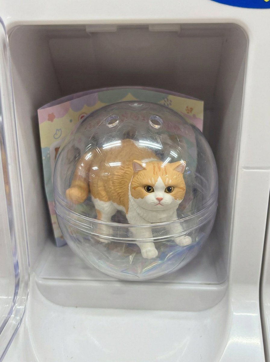 neko_muchamaru's tweet image. おまえ.....そんなかわいくなってからに！
むちゃまるガチャガチャ爆誕...？🐈

#SNOW #PR #むちゃまる #ガチャ