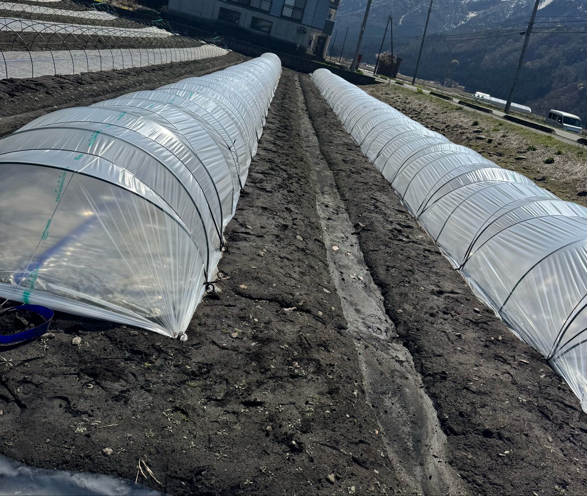 ℕ𝕀𝕩 𝕋𝕆2026 (n)🐟 tweet media