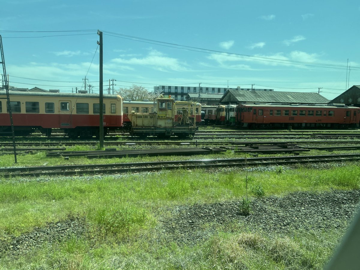 さしみぃ tweet media