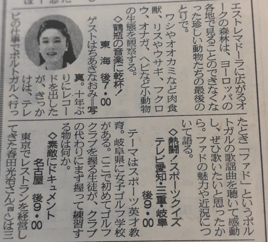 キネコ tweet media