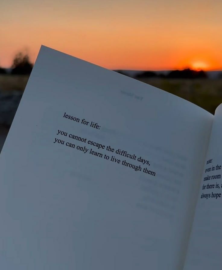 Josephine 🪻 tweet media