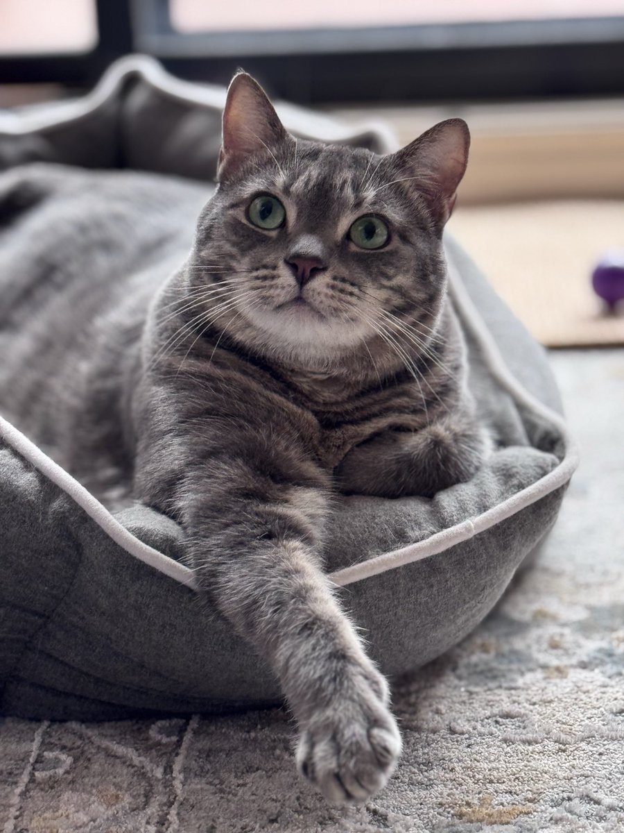 Put the Liberals Last 🐈⬛ tweet media