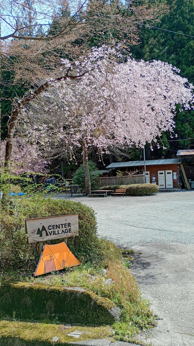 maron418's tweet photo. 昨日から道志村にあるセンタービレッジキャンプ場に来ています⛺🔥
センタービレッジは、まさに桜が満開でとても綺麗です🌸
サイトから見える川の流れと音で心底癒され心地がよい👍
これからがキャンプシーズンと思いますので、是非来てみて下さいね👍
https://t.co/p9Da2uanbU https://t.co/iqLQxRU1md