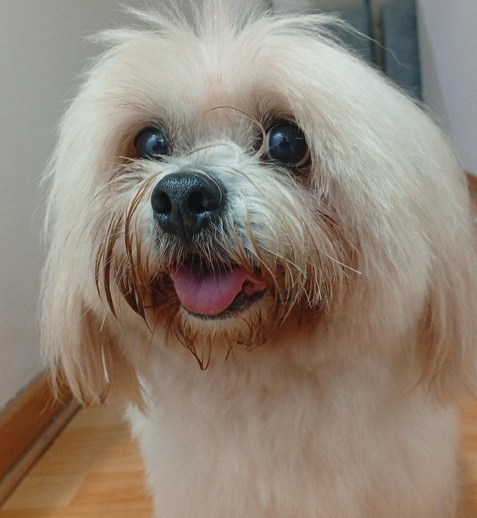 Chaski AF tweet media