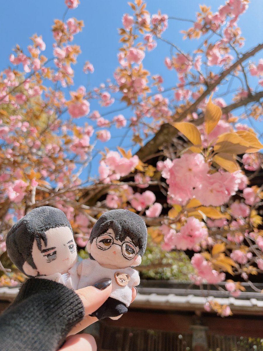 ゑび🦐 tweet media