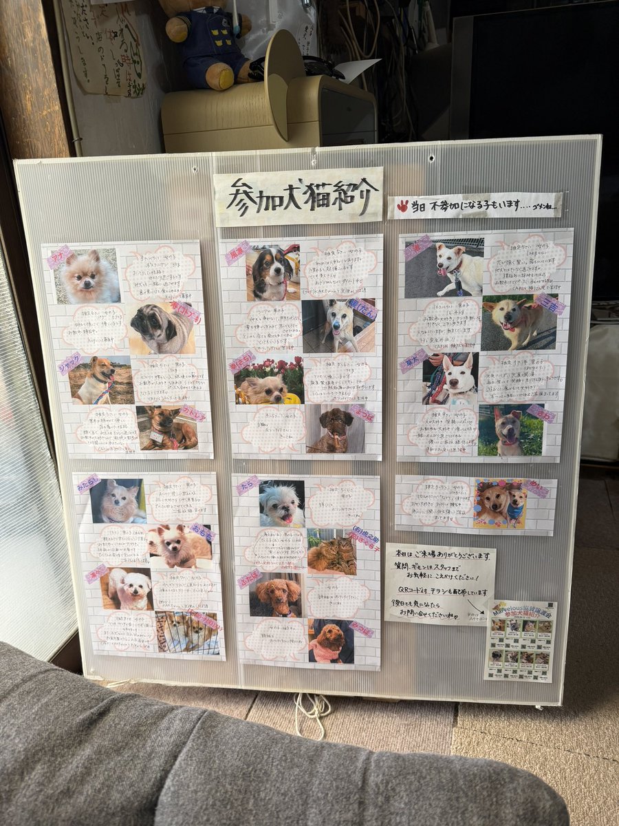 あっこ🍈🫧 tweet media