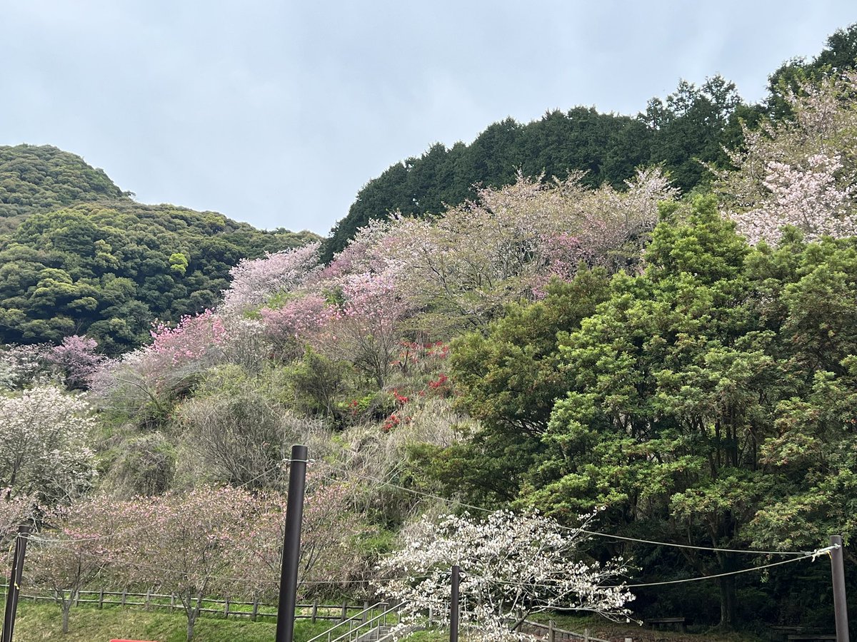 リライト❂Tiamat tweet media