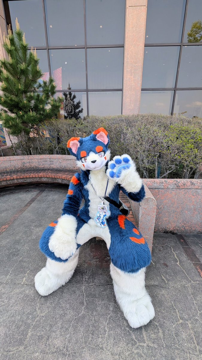 ハスキー tweet media