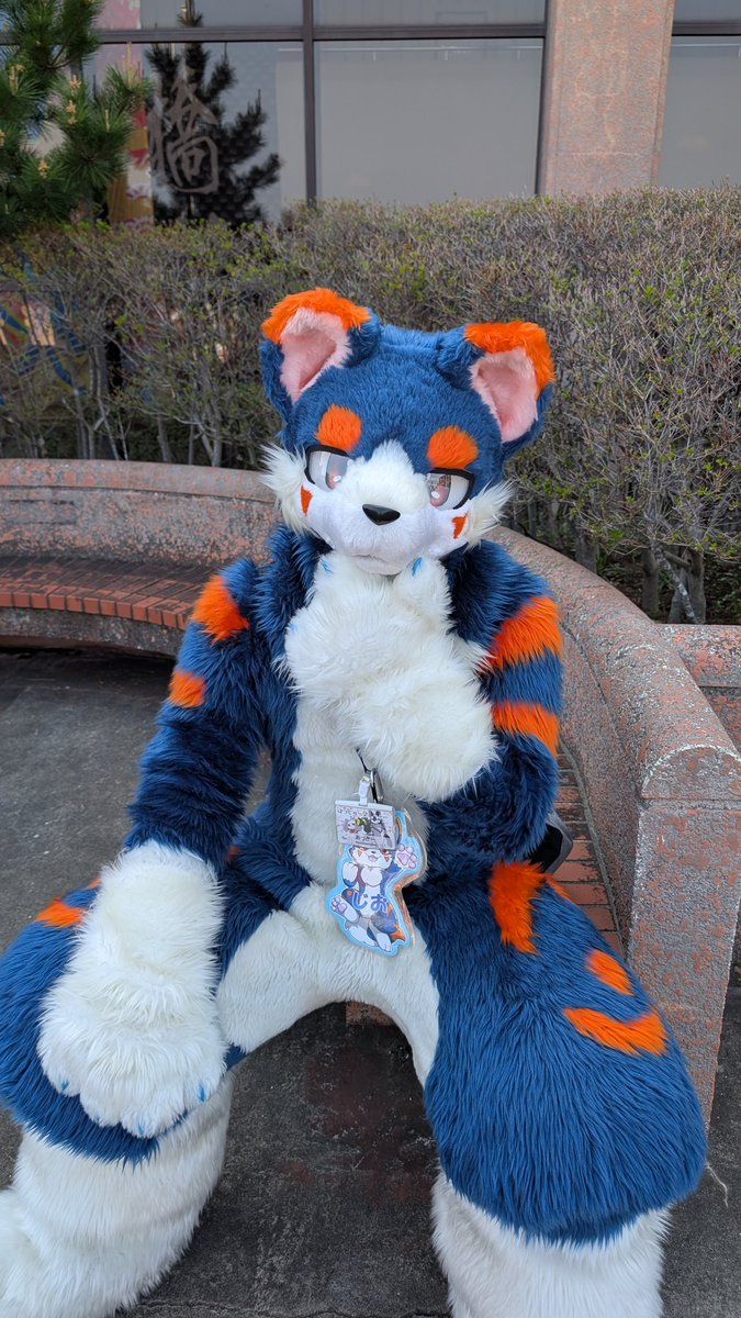 ハスキー tweet media