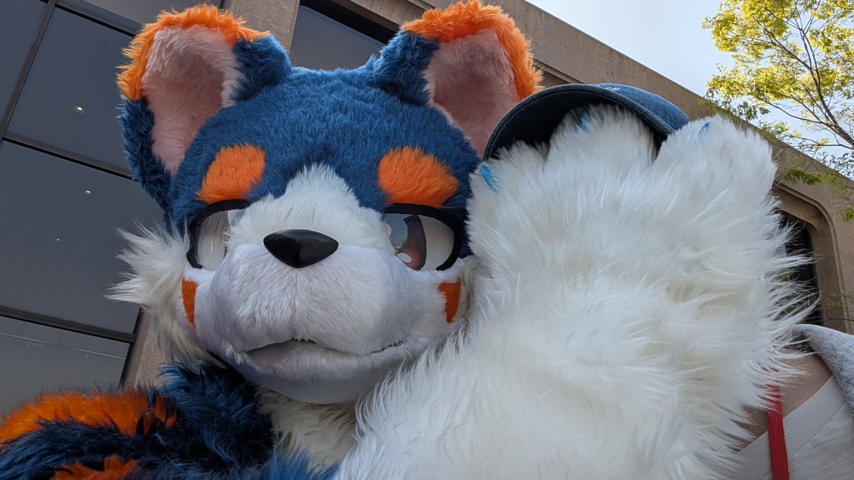 ハスキー tweet media