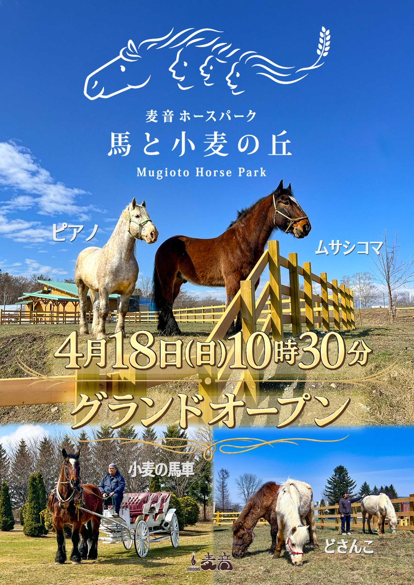 馬車BAR【公式】 tweet media