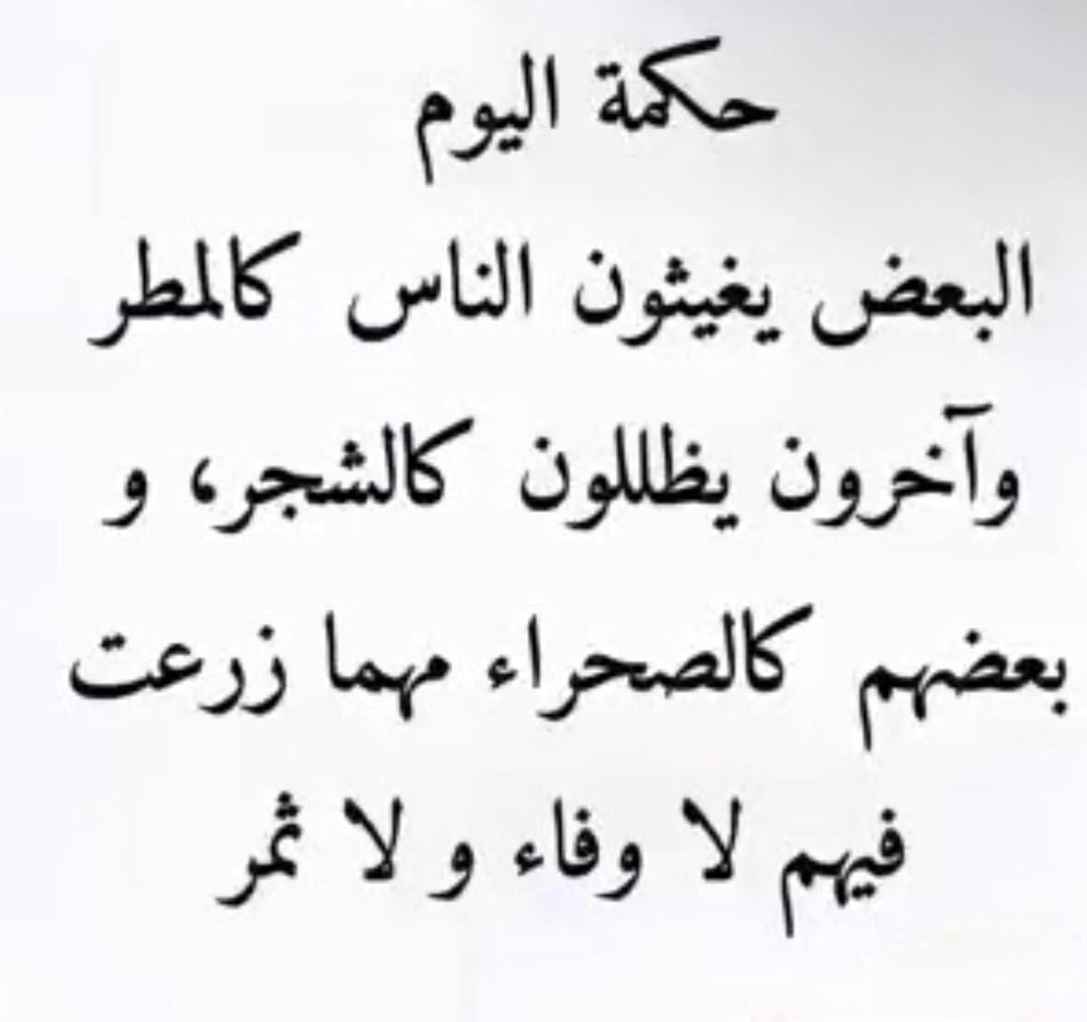 المتفائل tweet media