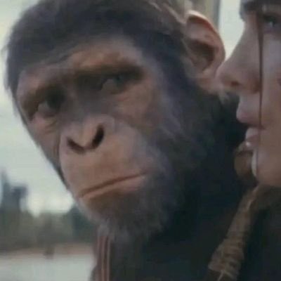 Mundinho Azamat Murzakanov tweet media