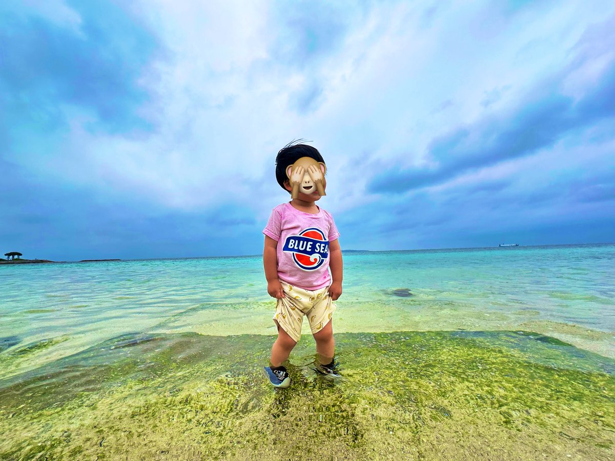 tatsuya@2児パパ個人開発者 tweet media