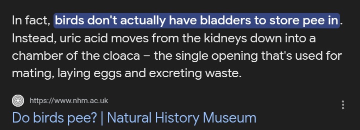 Cami374🇦🇷🦋~I Love Human Stolas💞//TW:Porn&Gore tweet media