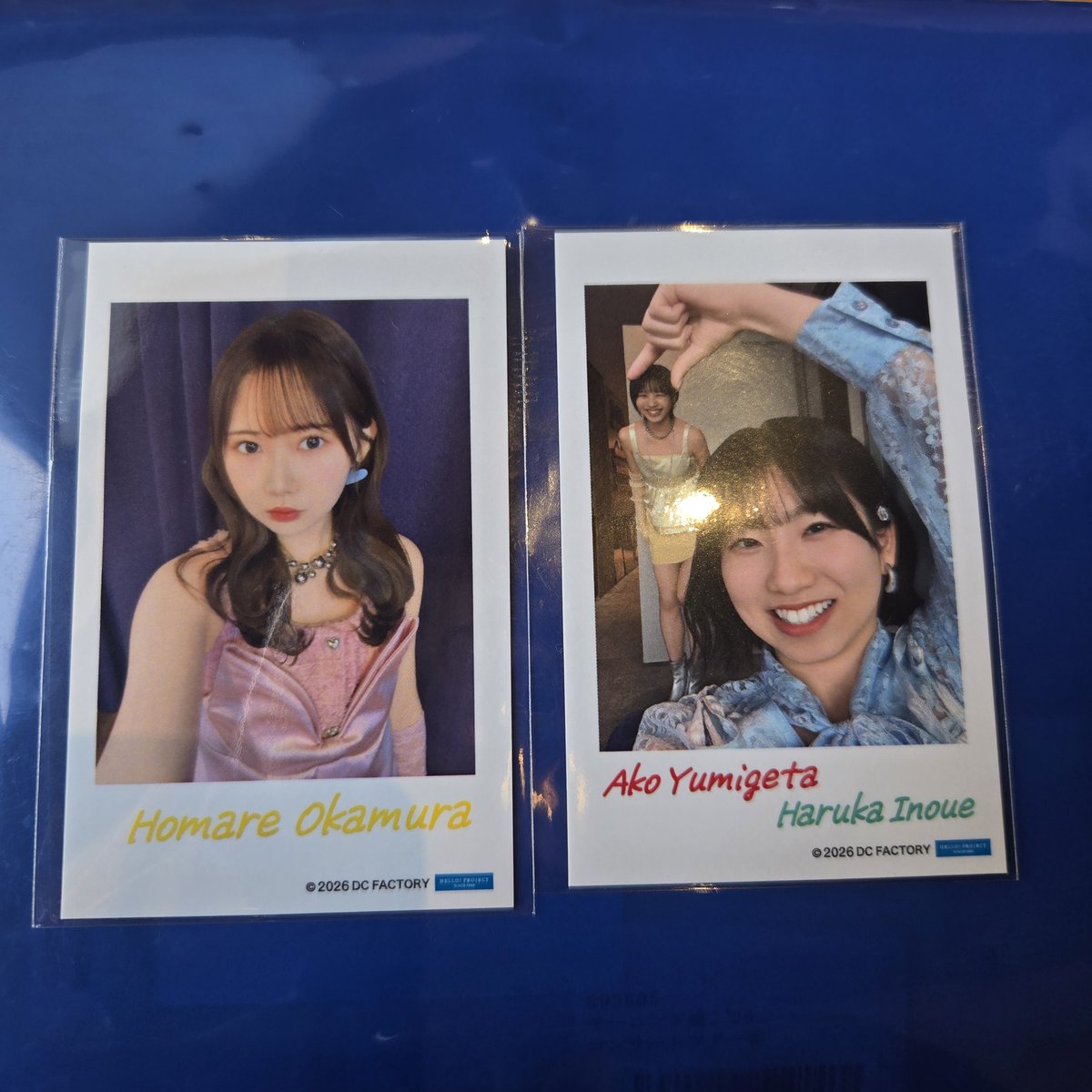 まい🌸 tweet media