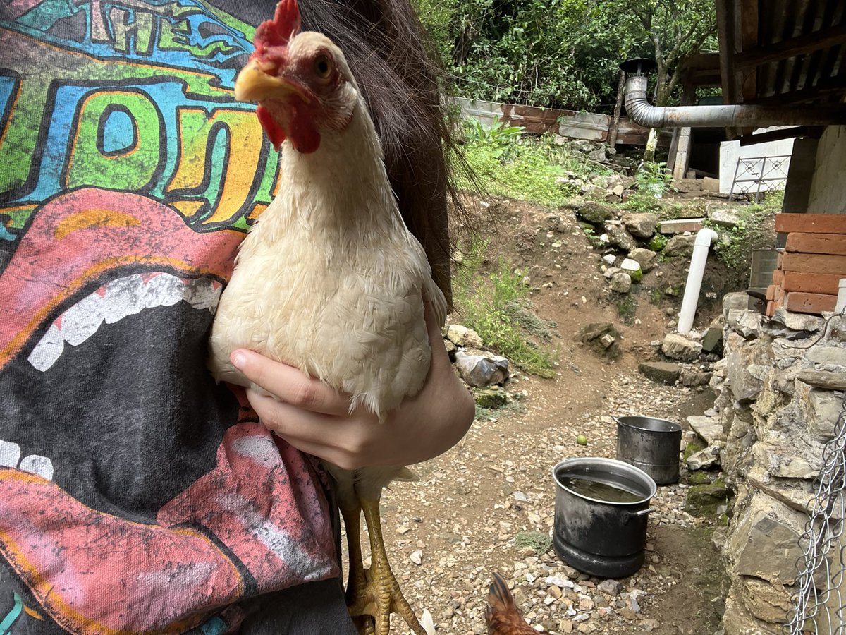 Harvey ๐ฆ๐ฝ tweet media