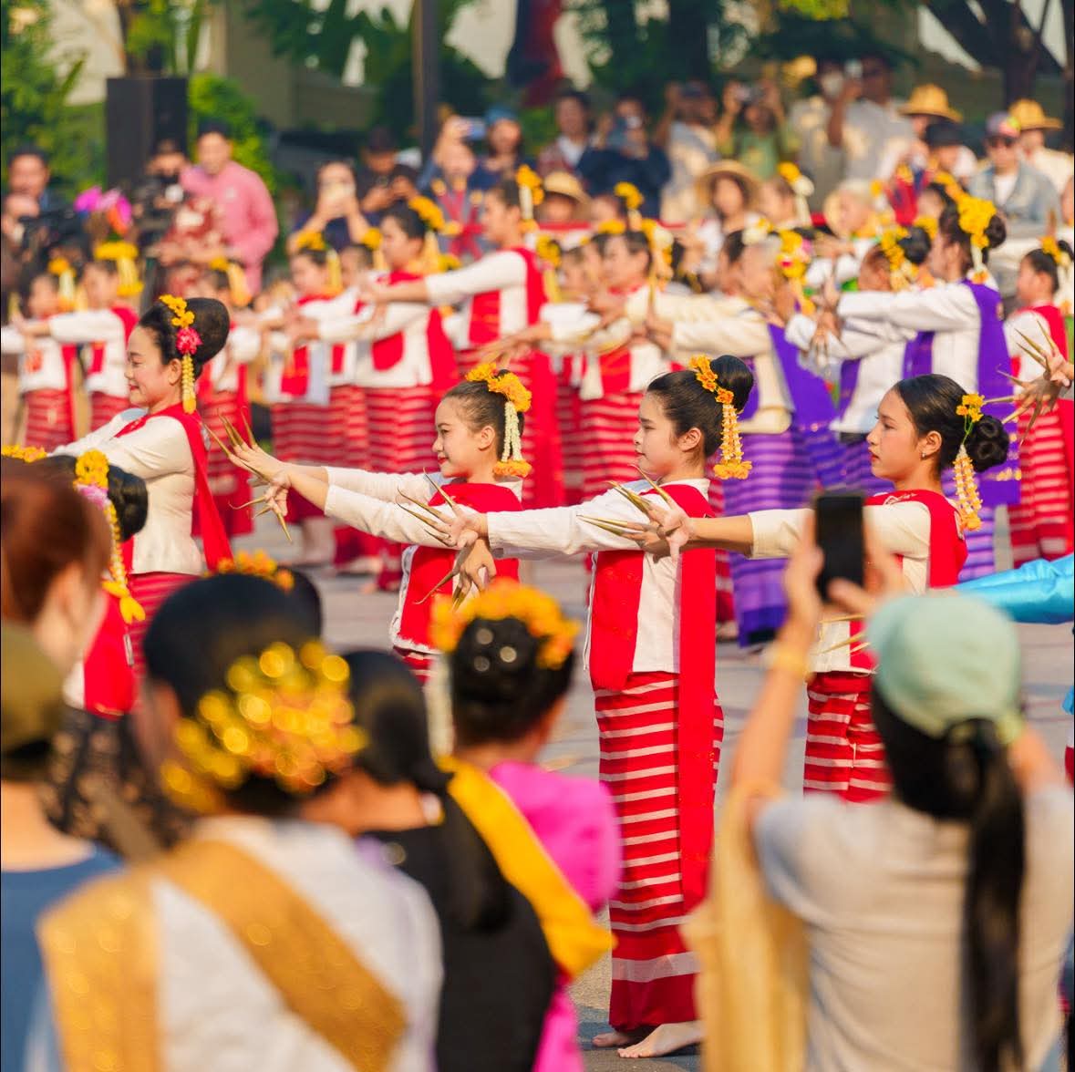 Chiang Mai News tweet media